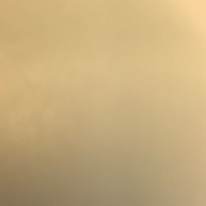 Meet your Posher, Nat